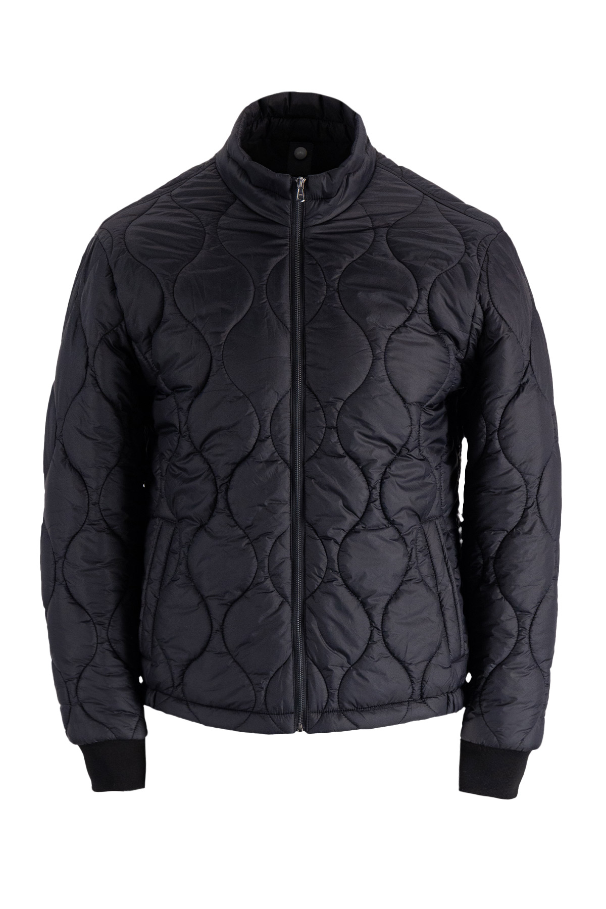 Chamarra Contemporary Fit